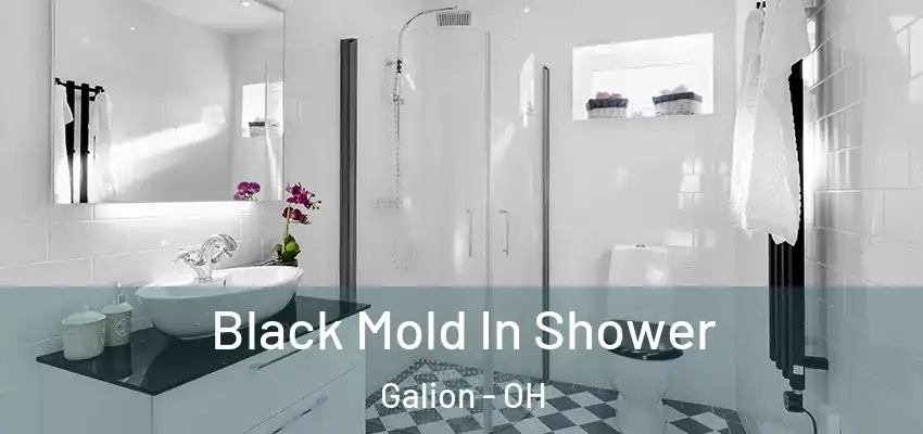  Black Mold In Shower Galion - OH