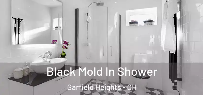  Black Mold In Shower Garfield Heights - OH