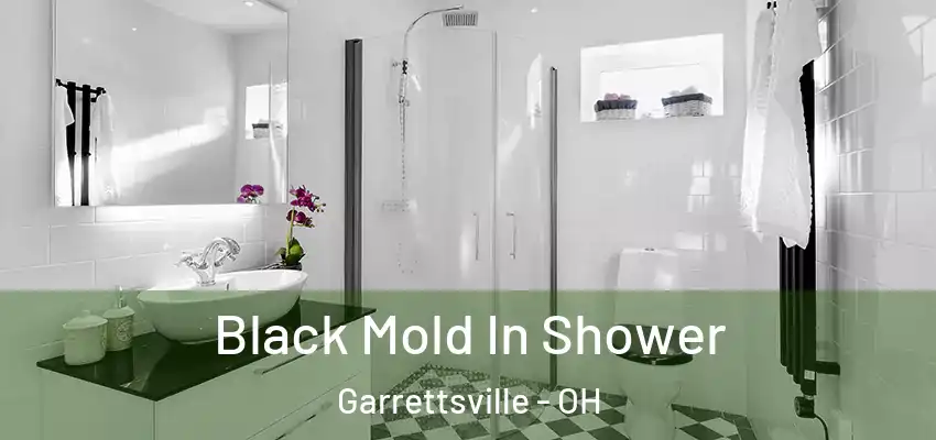  Black Mold In Shower Garrettsville - OH