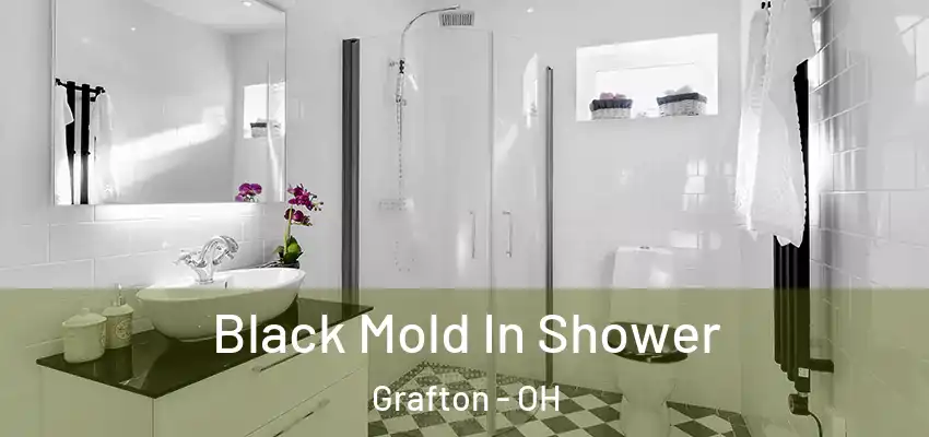  Black Mold In Shower Grafton - OH