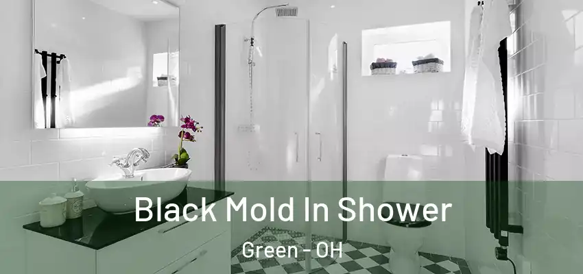  Black Mold In Shower Green - OH
