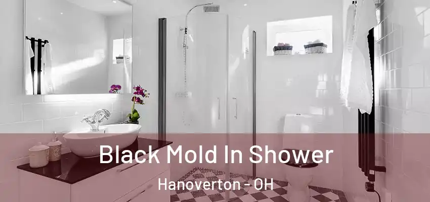  Black Mold In Shower Hanoverton - OH