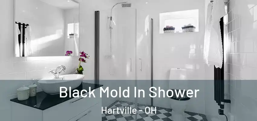 Black Mold In Shower Hartville - OH