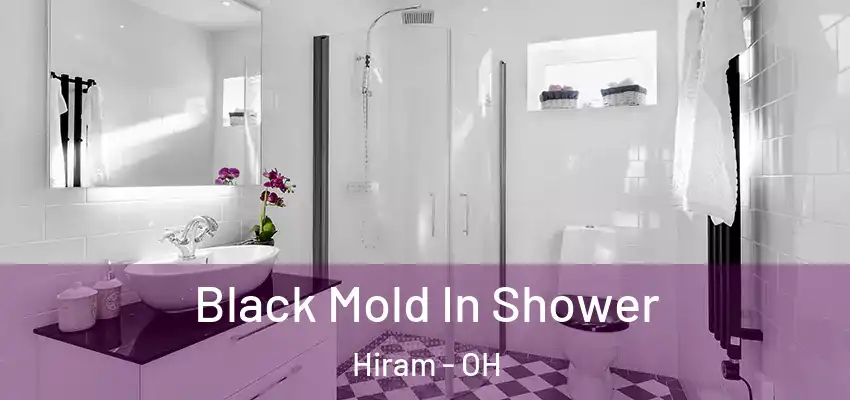 Black Mold In Shower Hiram - OH