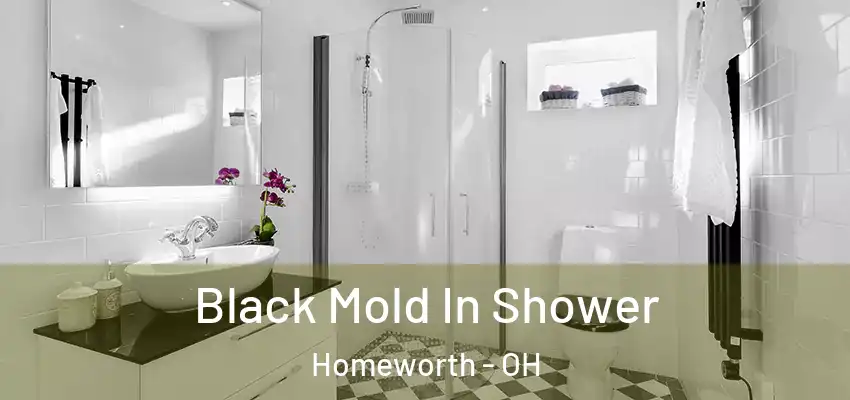  Black Mold In Shower Homeworth - OH