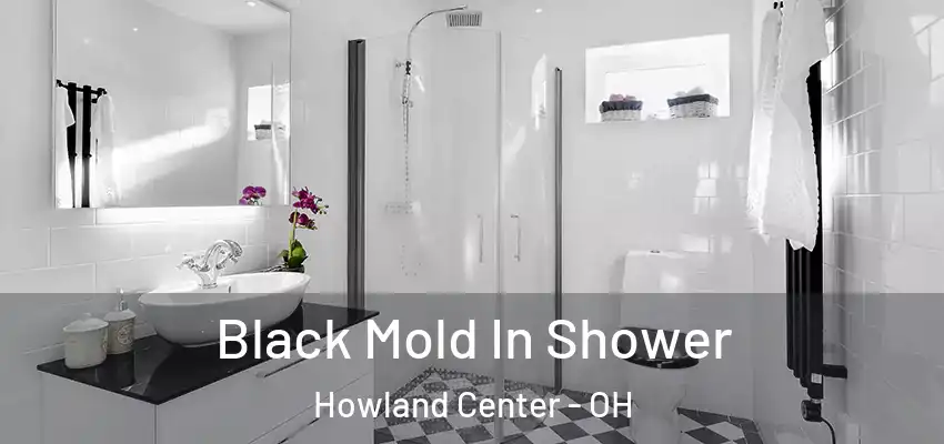  Black Mold In Shower Howland Center - OH