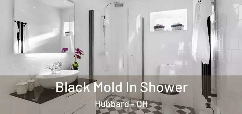  Black Mold In Shower Hubbard - OH