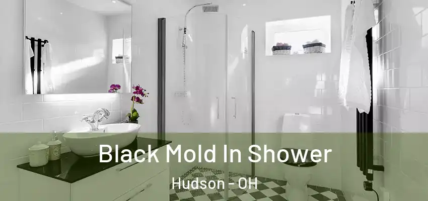  Black Mold In Shower Hudson - OH