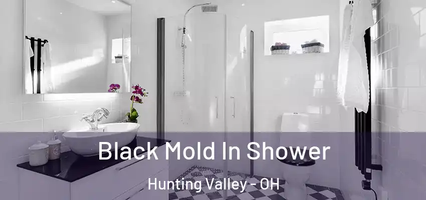 Black Mold In Shower Hunting Valley - OH