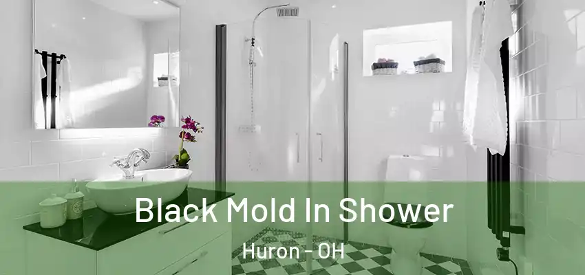 Black Mold In Shower Huron - OH