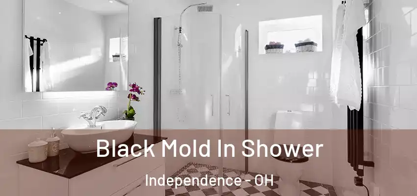 Black Mold In Shower Independence - OH