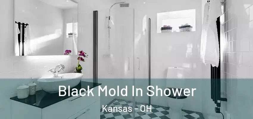  Black Mold In Shower Kansas - OH