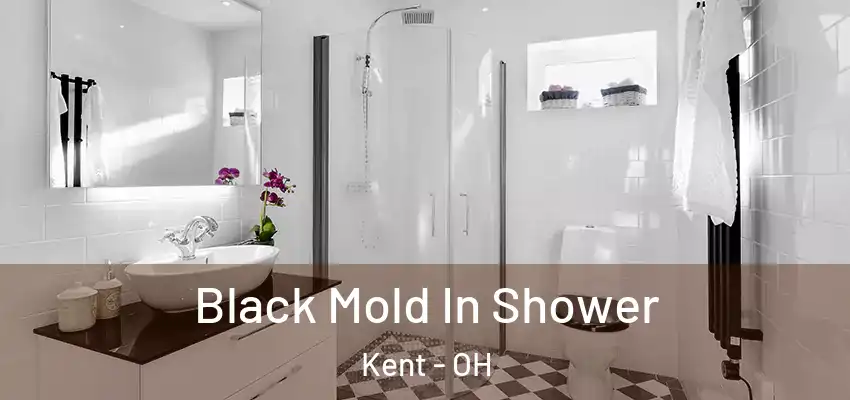  Black Mold In Shower Kent - OH