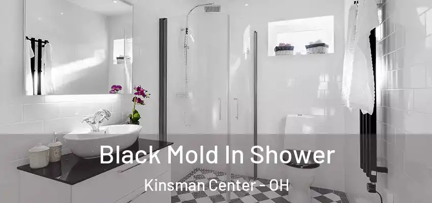  Black Mold In Shower Kinsman Center - OH