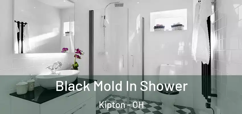  Black Mold In Shower Kipton - OH