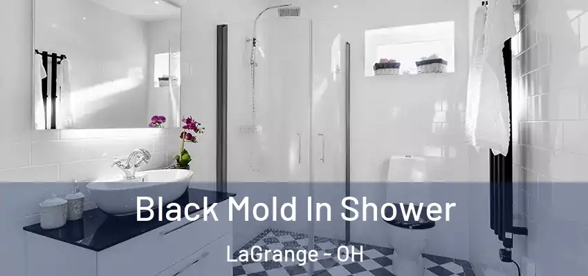Black Mold In Shower LaGrange - OH