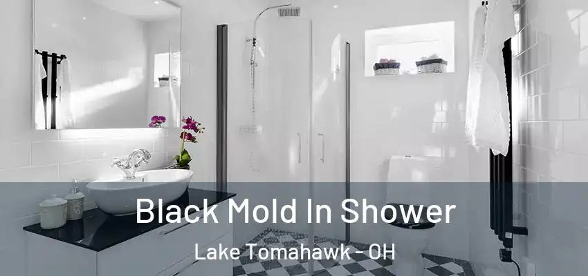  Black Mold In Shower Lake Tomahawk - OH