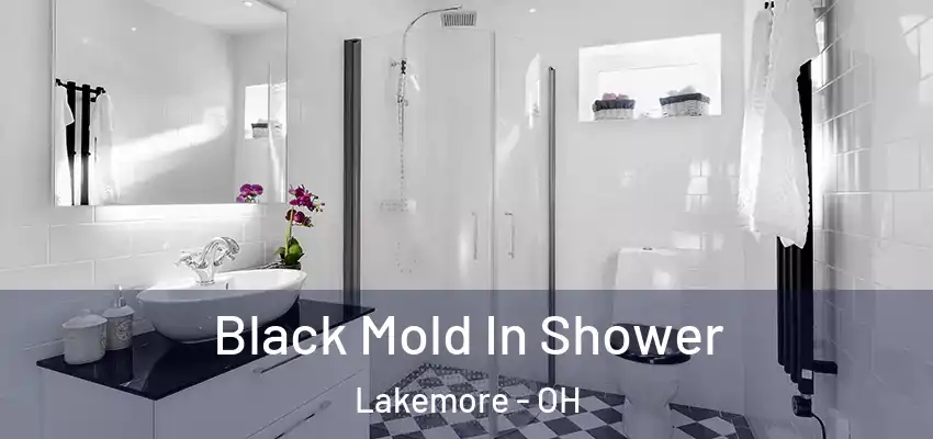  Black Mold In Shower Lakemore - OH