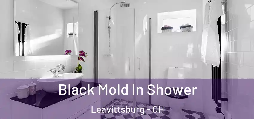 Black Mold In Shower Leavittsburg - OH