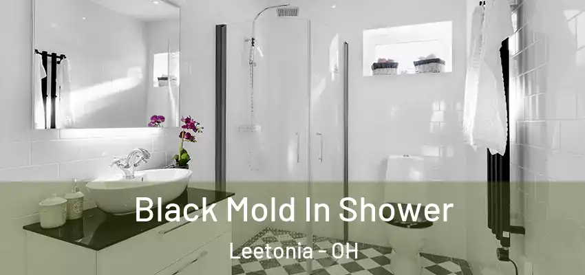  Black Mold In Shower Leetonia - OH