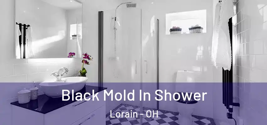 Black Mold In Shower Lorain - OH