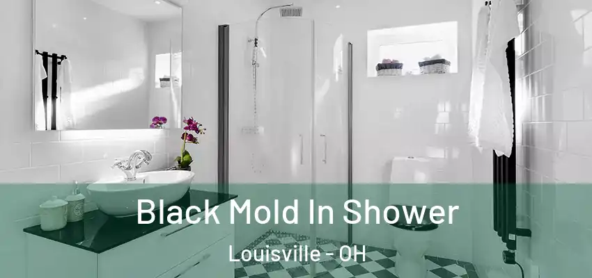  Black Mold In Shower Louisville - OH