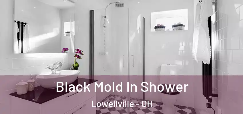  Black Mold In Shower Lowellville - OH