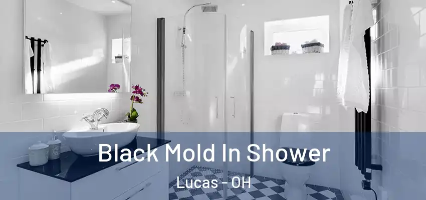  Black Mold In Shower Lucas - OH