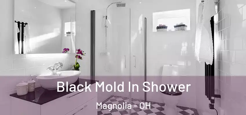  Black Mold In Shower Magnolia - OH