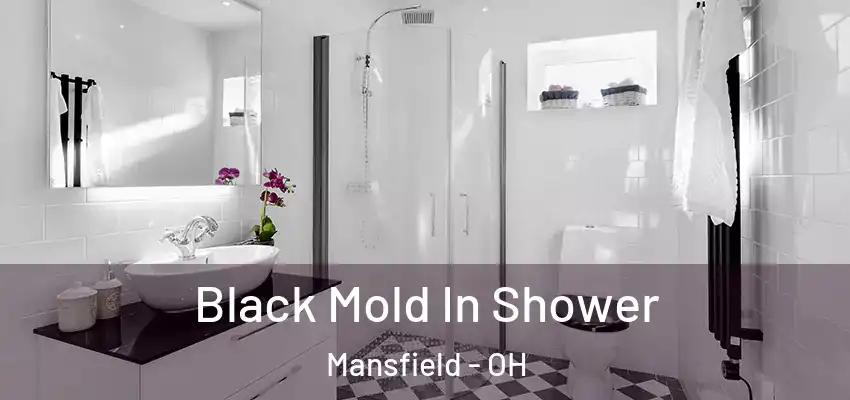 Black Mold In Shower Mansfield - OH