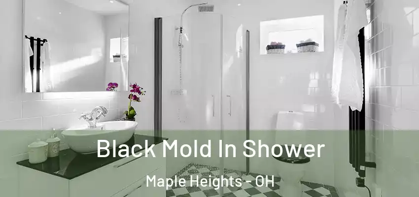  Black Mold In Shower Maple Heights - OH