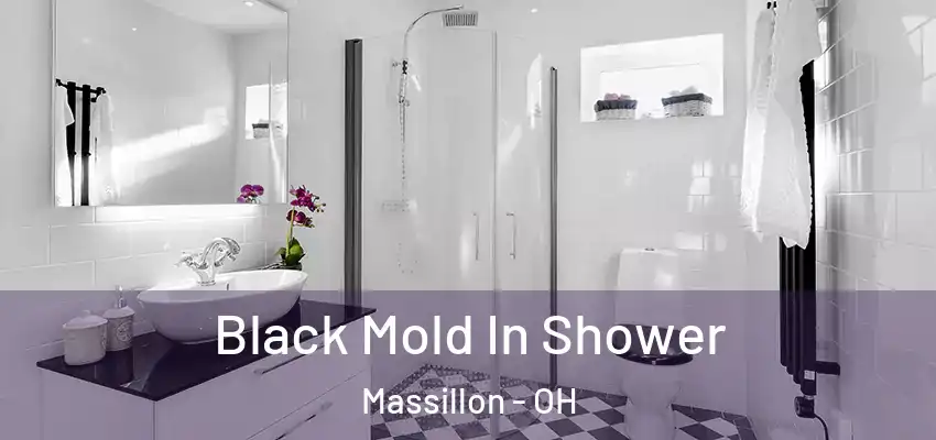  Black Mold In Shower Massillon - OH