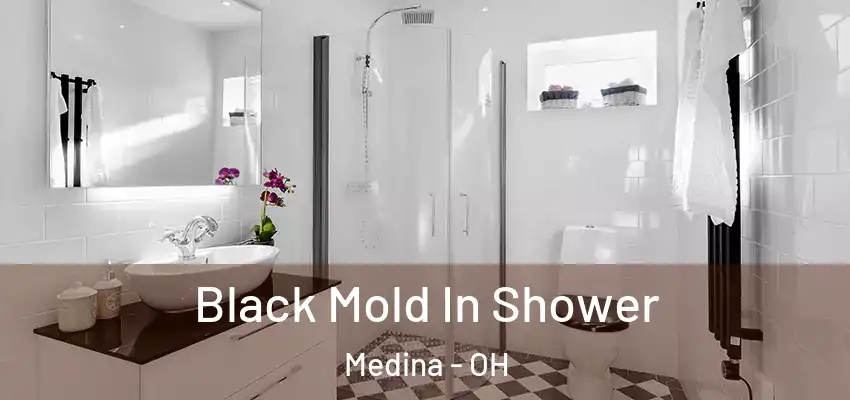 Black Mold In Shower Medina - OH