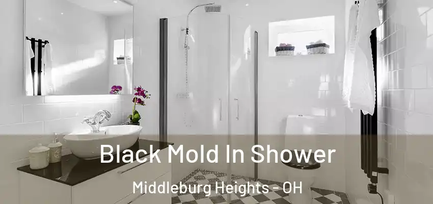  Black Mold In Shower Middleburg Heights - OH