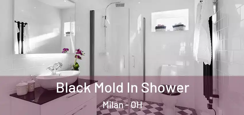  Black Mold In Shower Milan - OH