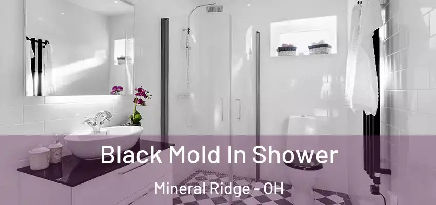  Black Mold In Shower Mineral Ridge - OH