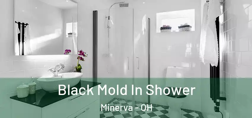  Black Mold In Shower Minerva - OH