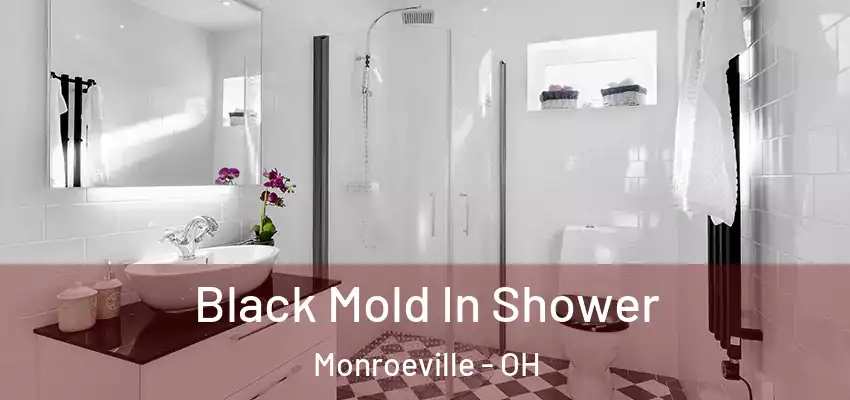  Black Mold In Shower Monroeville - OH
