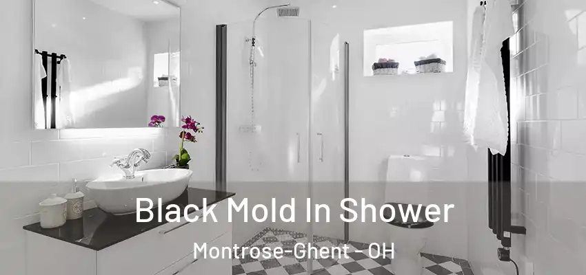  Black Mold In Shower Montrose-Ghent - OH