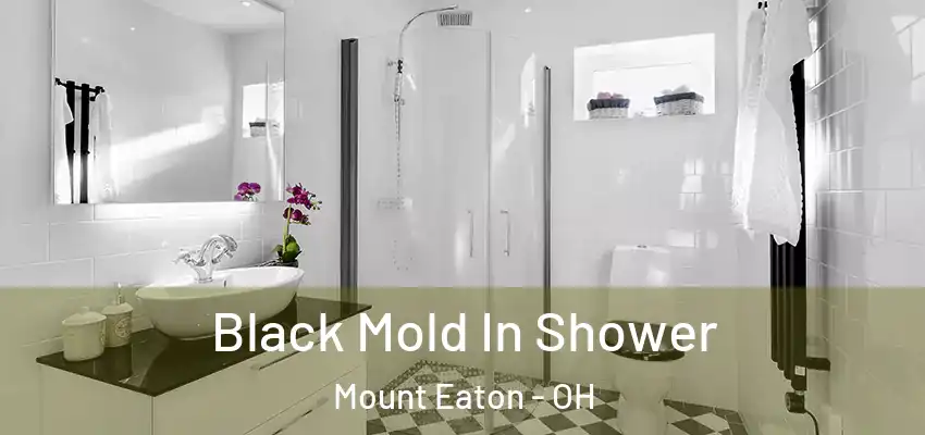 Black Mold In Shower Mount Eaton - OH