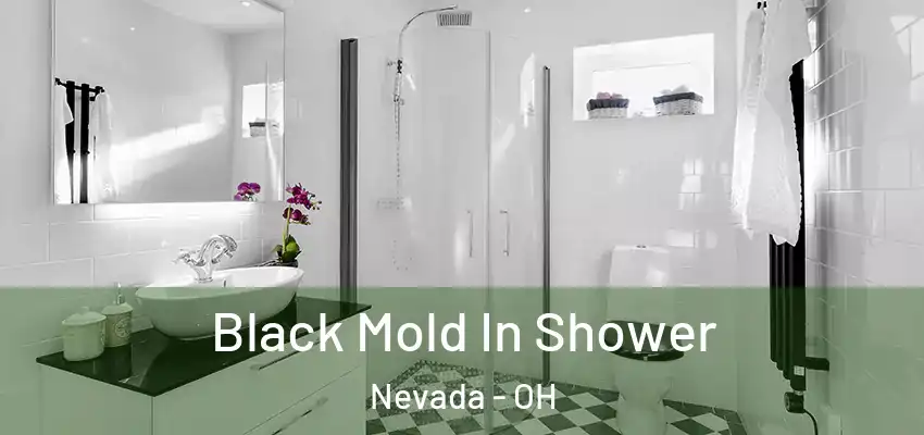  Black Mold In Shower Nevada - OH