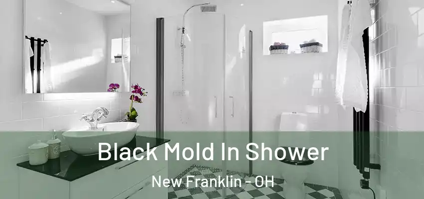 Black Mold In Shower New Franklin - OH
