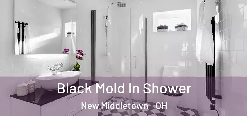  Black Mold In Shower New Middletown - OH
