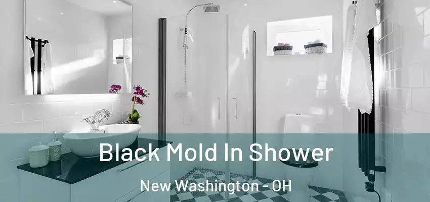  Black Mold In Shower New Washington - OH