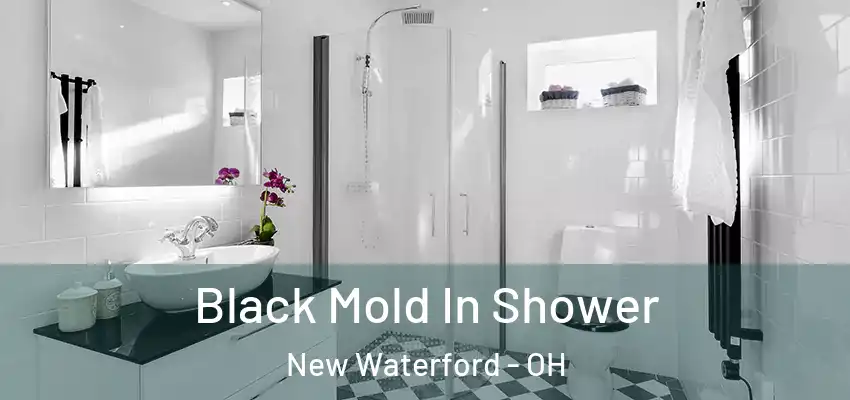  Black Mold In Shower New Waterford - OH