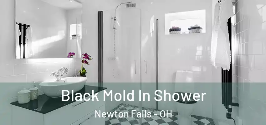  Black Mold In Shower Newton Falls - OH