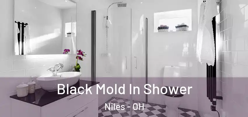  Black Mold In Shower Niles - OH