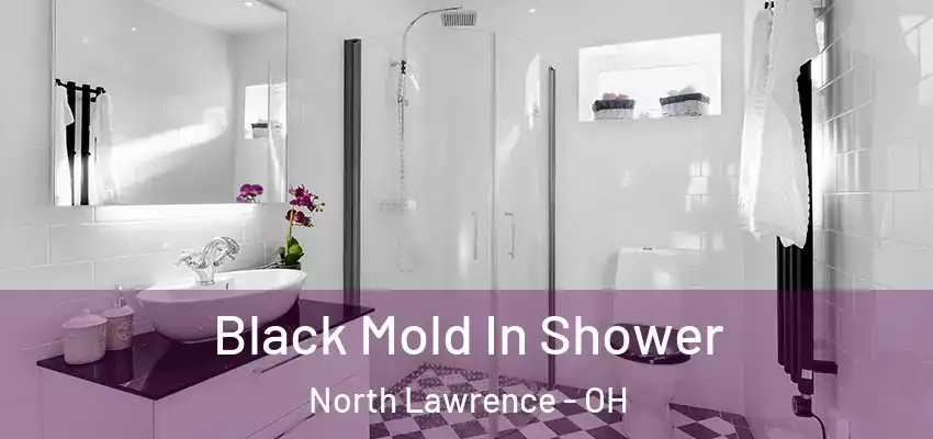  Black Mold In Shower North Lawrence - OH