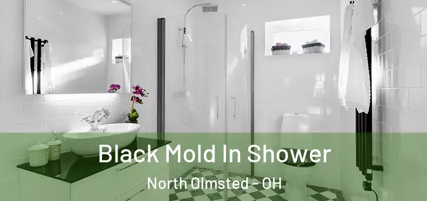  Black Mold In Shower North Olmsted - OH