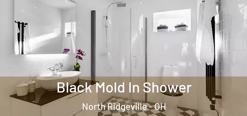  Black Mold In Shower North Ridgeville - OH